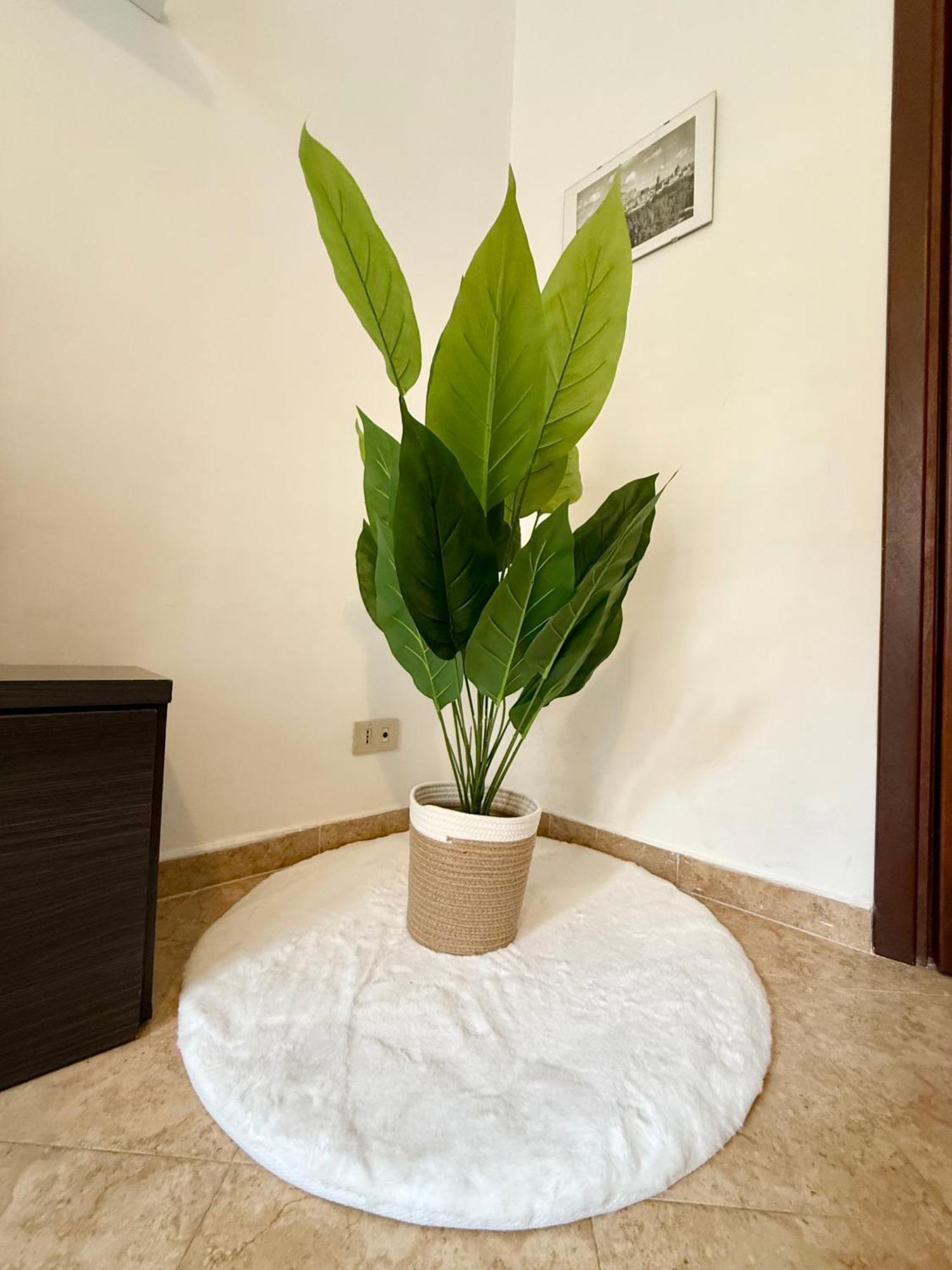 Gigi'S Apartment Палермо Екстер'єр фото